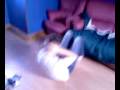 videos de l'entrainement mdrr
