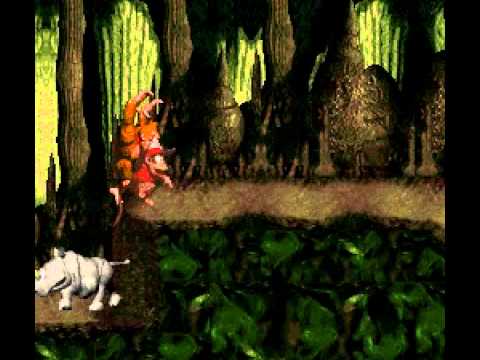 Donkey Kong Country