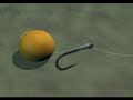 FOX GUIDE TO CARP RIGS - 1� PARTE