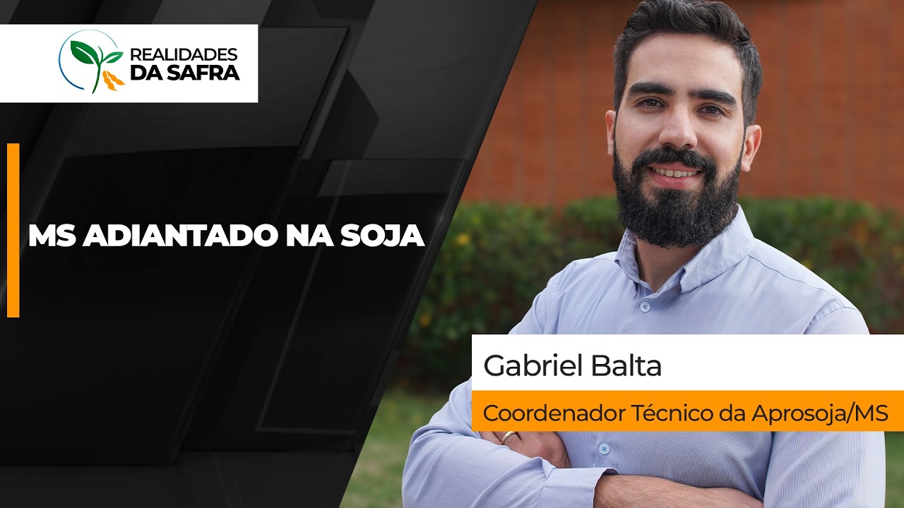 Mato Grosso do Sul já plantou 26% da soja com trabalhos adiantados ante ao ano passado