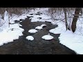 Relaxing Sounds of a Flowing Stream