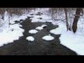 Relaxing Sounds of a Flowing Stream