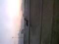 Video0001.3gp