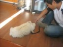 max training
