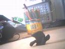Gymnastic Gymnastic