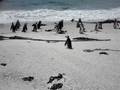 CAPE TOWN