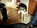 Play in the kitchen Play in the kitchen