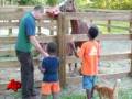 Judge Rules Against Florida Gay Adoption Ban