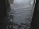 Springtown Sweetview Farm Flood of \ Springtown Sweetview Farm Flood of \