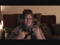 Gloria Gaynor - I Will Survive - Ukulele Cover Gloria Gaynor - I Will Survive - Ukulele Cover