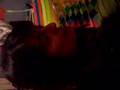 Clip Carmen Campagne Camille la chenille
