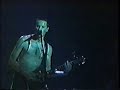 helmet-wilmas-rainbow-tribute-to-davelive-feb-17-2007.html