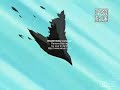 Naruto Shippuden amv