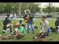 John Shipe's Pit Bull Blues video