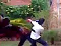 bctis 175 peleas (box)