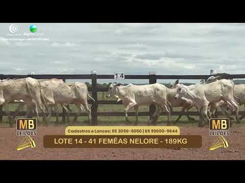 535� LEIL�O VIRTUAL MB LEIL�ES