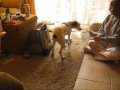 Lola grabs me a Kleenex