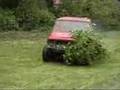Jeep Vs Black Berry bushes