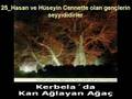 K�rt�e Mevlid 4.B�l�m Okuyan Seyfullah