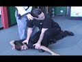 Hands On: Police Defensive Tactics