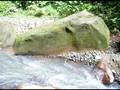 videos de itirapina lucas ferrando o joelho