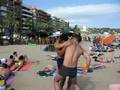 Rissa in spiaggia