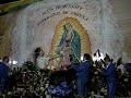 Virgen de GuadAlupe, la Guadalupana bajo Tepeyak.