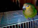 victor at play...