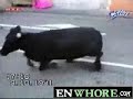 ?mieszne Upadki funny falls mix musisz to zobaczy? ;]