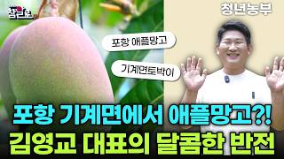 김영교