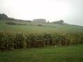 videos de Rallye de Luxembourg_10-11/10/08_Souvigné/Stoller
