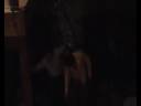 2 gute freunde.wmv