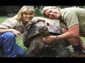Goodbye Croc Hunter! Goodbye Croc Hunter!