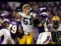 The Minnesota Vikings!!