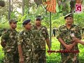 The Sri Lanka Army Farm, established and maintained in Jaffna