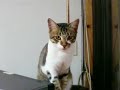 FUCHAGI\ FUCHAGI\