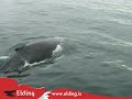 Clips from our tours Clips from our tours