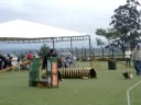 Maggie - campeonato Itu