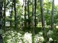 videos de TLC - Fort Jupiter pt 2