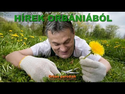 Rövid hírek Orbániából