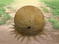 uchiha sasuke versus gaara del desierto  mago de oz 