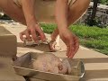 Beer Chicken