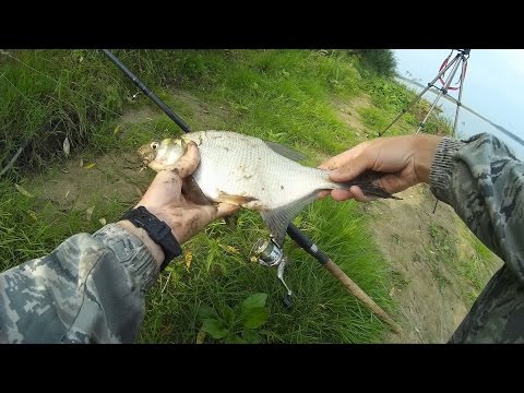 рыбалка видео на фидергам видео рыбалка видео на фидергам видео