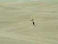 Dune-kite-jumping