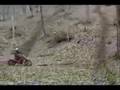 HUSQVARNA UPHILL MAGIC FOREST TE250