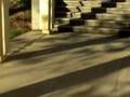 Santa Barbara Skateboarding