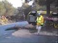El arbol te da la vida 