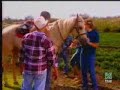 gata salvaje - reconciliacion de luis mario y rosaura