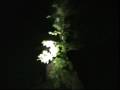 Ghost voices from beyond the grave