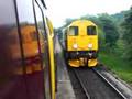 D1023 Western Fusilier Part 2